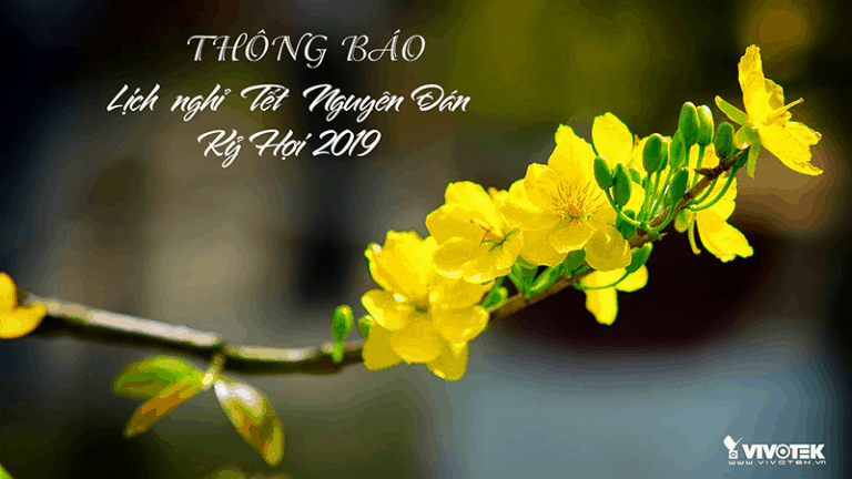 Thong bao nghi Tet 2019 Up Website